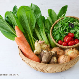 野菜を食べて熊本を応援!四季を味わう野菜セット(6〜8種)