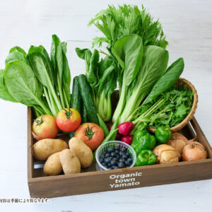 野菜を食べて熊本を応援!四季を味わう野菜セット(10〜12種)