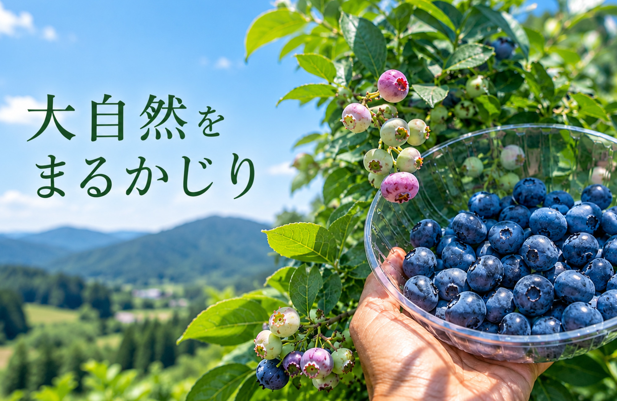 スパークリングワイン・ワインセット(各1本) - 画像 (3)